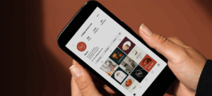 How to Build a Social Media Strategy That Actually Works (Even on a Small Budget)